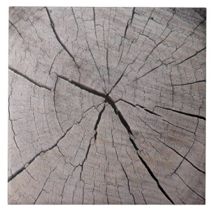 tree stump rustic background natural  tile