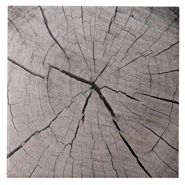 tree stump rustic background natural  tile (Front)