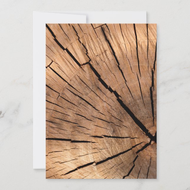 Tree Stump Texture (Front)