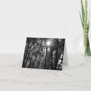 Tree & Sun (1) Card