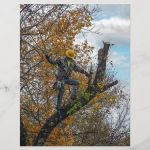 Tree Surgeon