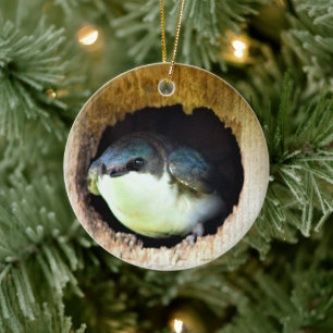 Tree Swallow Ceramic Ornament