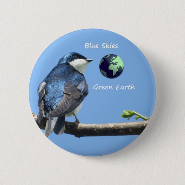 Tree Swallow Ecology button (Front)