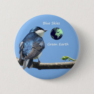 Tree Swallow Ecology button