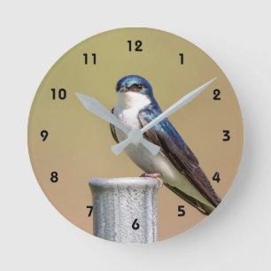 Tree Swallow Round Clock