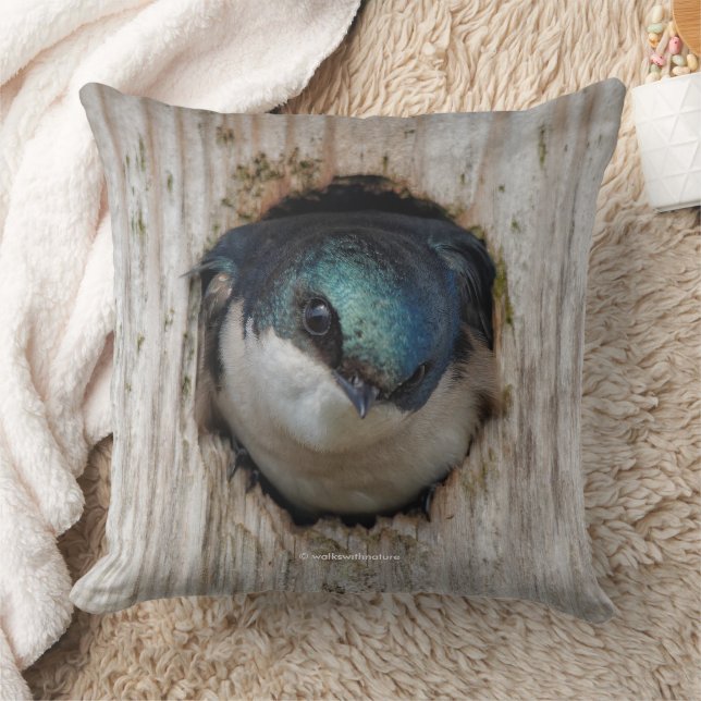 Tree Swallow Songbird in Nestbox Cushion (Blanket)