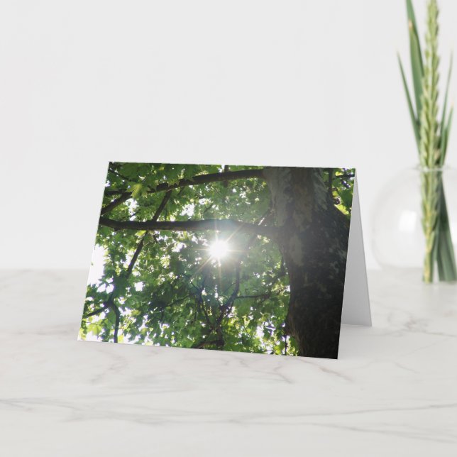 Tree top card (Front)