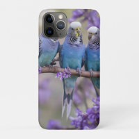 Tree Top Chatter: Blue Budgies In Jacaranda Tree,