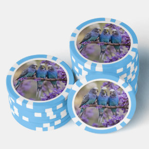 Tree Top Chatter: Blue Budgies In Jacaranda Tree, Poker Chips