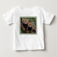 "Tree-top Explorers: Baby Red Pandas Looking Out