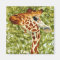 Tree Topper - Giraffe Magnet