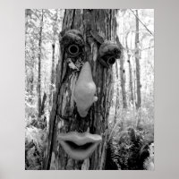 Tree troll on a Big Cypress tree.