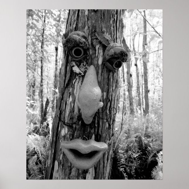 Tree troll on a Big Cypress tree. Poster (Front)
