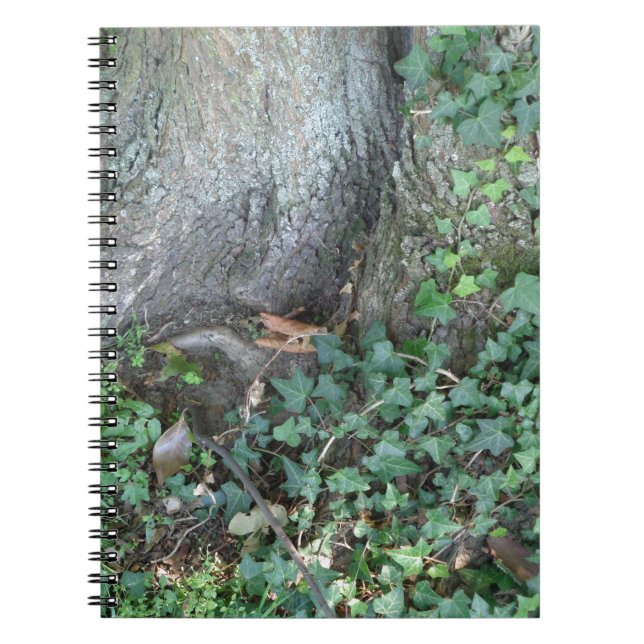 Tree trunk and ivy in forest spiral notebook (Front)