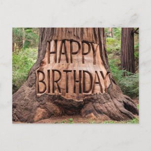 tree trunk carved with happy birthday postcard
