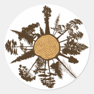 Tree Trunk Cross Section Growth Rings Pine Trees Classic Round Sticker