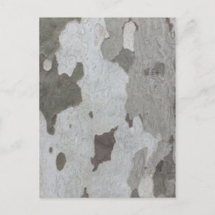 Tree Trunk custom postcard