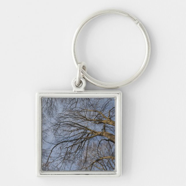 Tree trunk design/pattern. Pioineer Park, WA Key Ring (Front)