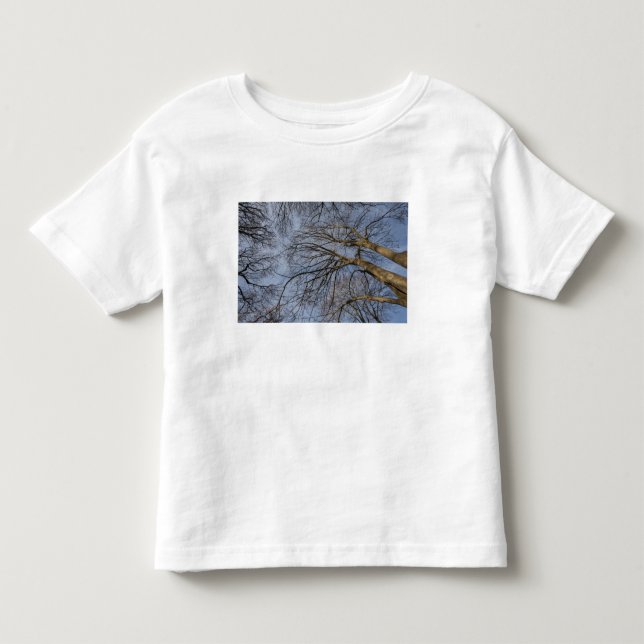 Tree trunk design/pattern. Pioineer Park, WA Toddler T-Shirt (Front)
