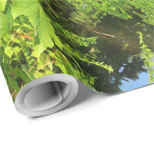 Tree Trunk Nature Photography Lake Park Wrapping Paper