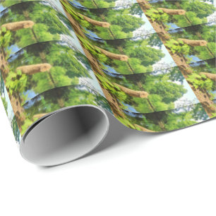 Tree Trunk Nature Photography Lake Park Wrapping Paper