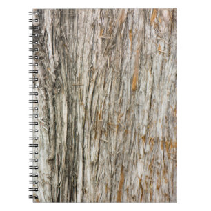 Tree trunk notebook