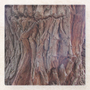 Tree Trunk Photo Red Brown Striped Woodgrain Bark Glass Coaster