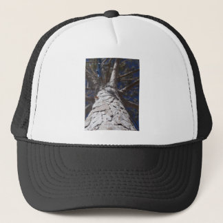 Tree trunk trucker hat