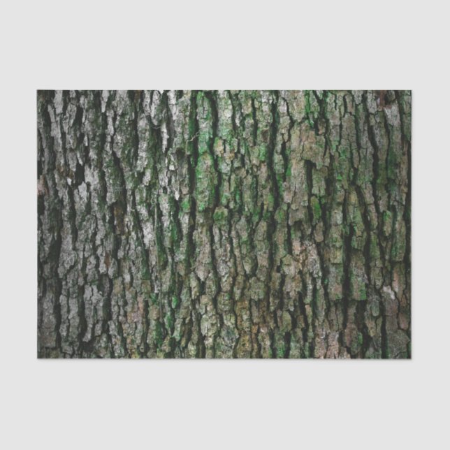 Tree Trunk (Wood Bark) Tissue Paper (Front)