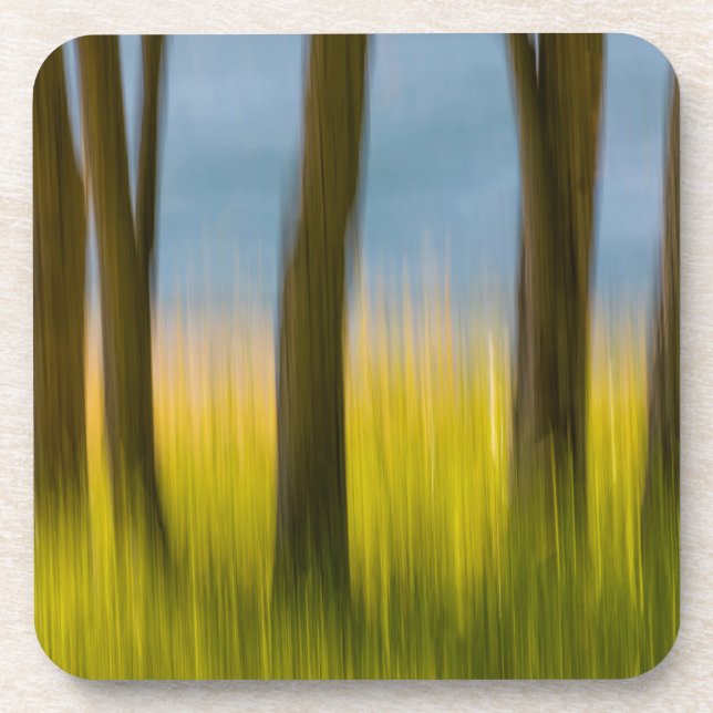 Tree Trunks and Grass | San Juan Islands, WA Coaster (Front)