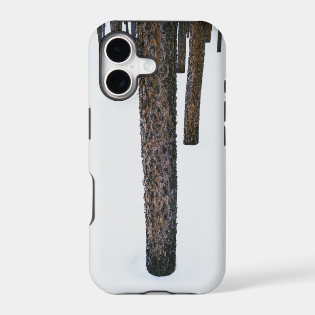 Tree Trunks in Snow (Back)