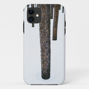 Tree Trunks in Snow Case-Mate iPhone Case