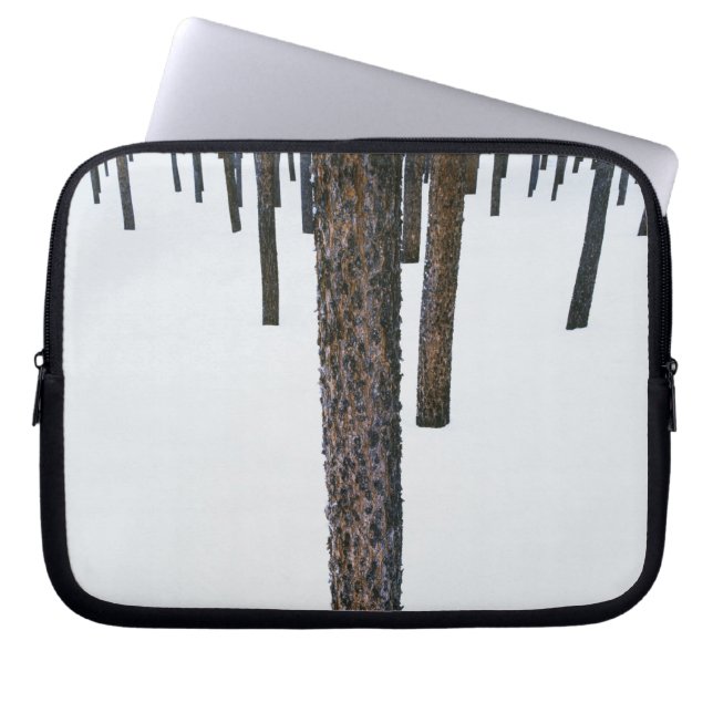 Tree Trunks in Snow Laptop Sleeve (Front)