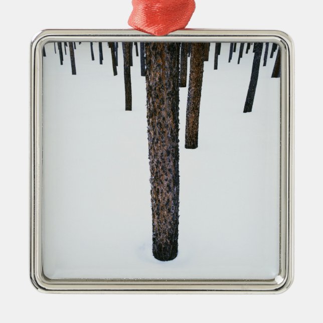 Tree Trunks in Snow Metal Tree Decoration (Front)