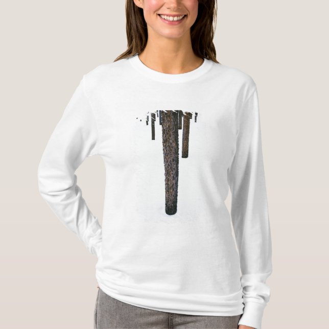 Tree Trunks in Snow T-Shirt (Front)