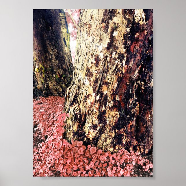tree trunks poster (Front)