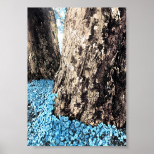 tree trunks poster