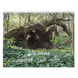 Tree trunks uprooted - dead - felled calendar