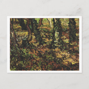 Tree Trunks with Ivy, Van Gogh Fine Art Postcard