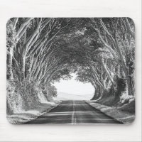 Tree Tunnel Kauai Photography Black and White