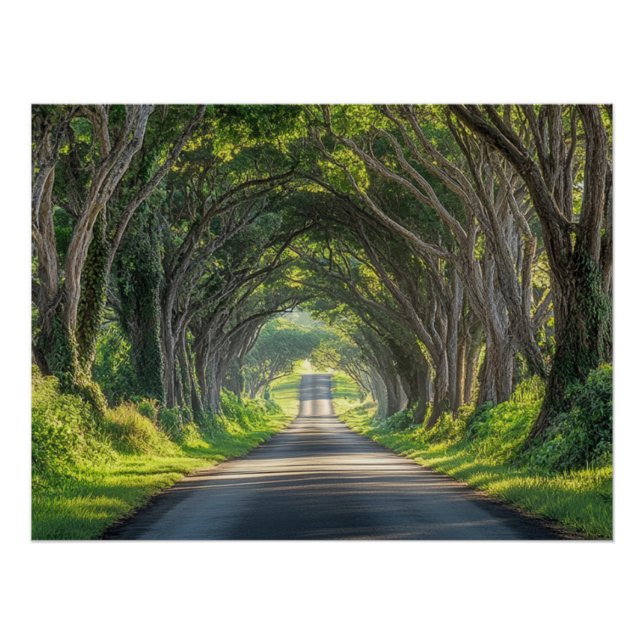 Tree Tunnel Kauai Photography Wall Art (Front)