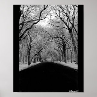 Tree Tunnel Poster
