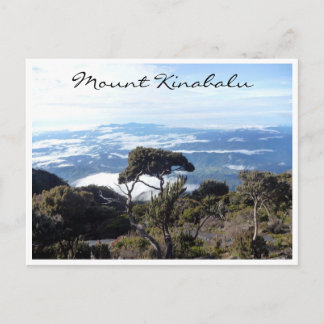 tree view kinabalu postcard