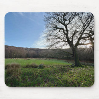 Tree view.. mouse pad