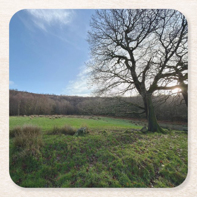 Tree view.. square paper coaster (Front)