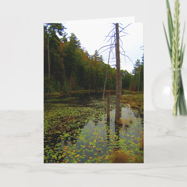 Tree Water Swamp Landscape Card (Front)