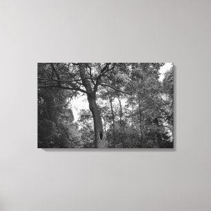 Tree with a Mysterious Hole Canvas Print