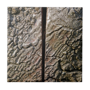 Tree with centre cut tile