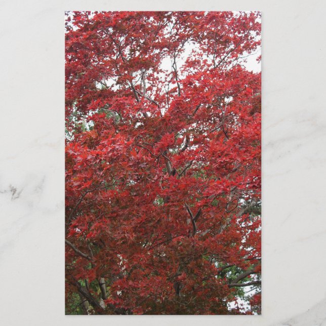 Tree with Red Autumn Leaves Stationery (Front)