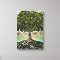 Tree with Roots by Water